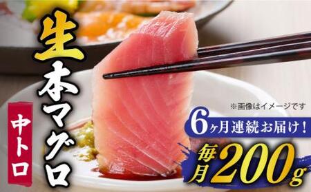 【全6回定期便】五島列島産養殖生本かみマグロ 中トロ 200g 【カミティバリュー】[RBP027] 本マグロ 本まぐろ 本鮪 本マグロ 本まぐろ 本鮪 本マグロ 本まぐろ 本鮪 本マグロ 本まぐろ 本鮪