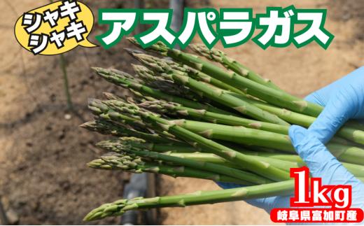 【15049】アスパラガス 1kg