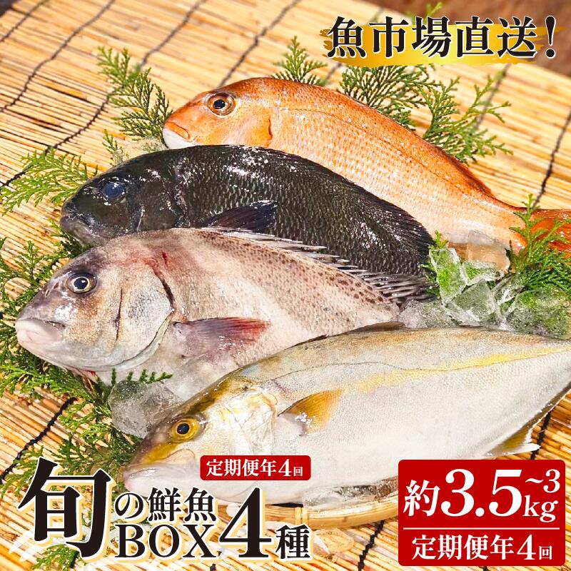 【ふるさと納税】 定期便 4回 鮮魚ボックス 4種 鮮魚セット 鮮魚BOX 詰め合わせ 刺し身 刺身 フライ 天ぷら 塩焼き 煮付け 旬 鮮魚 お取り寄せ グルメ 食品 魚 魚貝 ギフト 贈物 贈り物 プレゼント おかず 送料無料 徳島 魚市場