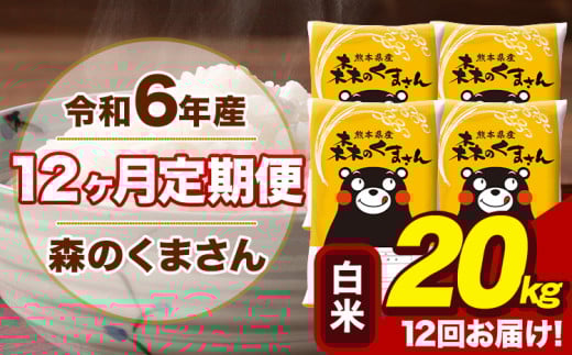 令和6年産 森のくまさん 白米 20kg 5kg×4袋 計12回お届け 《お申し込み月の翌月から出荷開始》 お米 こめ 熊本県産 ご飯 備蓄