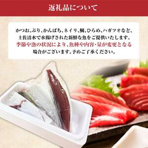 下処理済 おまかせ鮮魚フィレ(かつお、ぶり、かんぱち、ネイリ、鯛、ひらめ、ハガツオなど) 1~2種 約500g(2~3人前) 加工済み 魚 海鮮 シーフード 詰め合わせ 魚介 刺身【R01340】