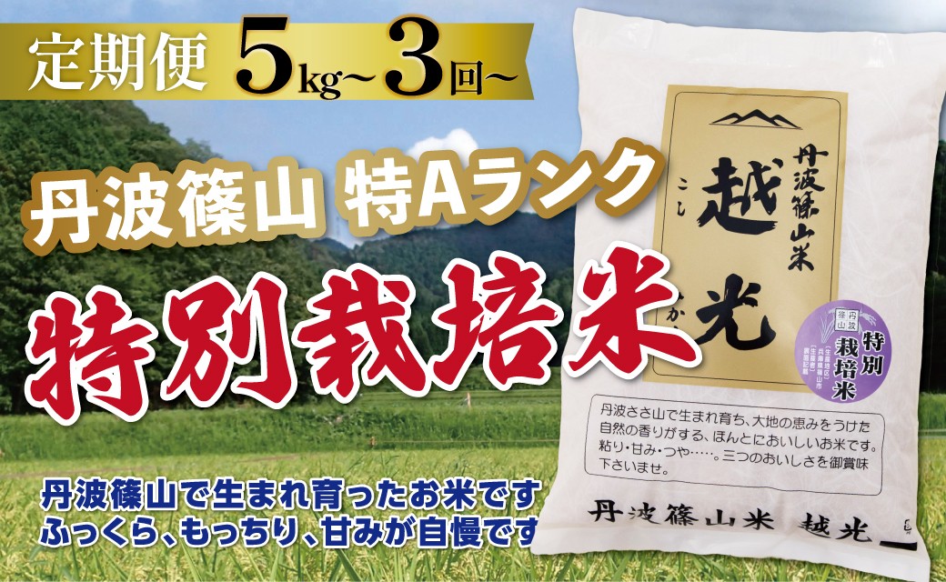 
                  〈定期便 特Aランク 減農薬〉令和7年産 丹波篠山産 特別栽培米 コシヒカリ 越光  【5kg 10kg 3回 6回】  | 丹波篠山 お米 おこめ ブランド米 ごはん ご飯 白米 米 コメ こめ 精米 精白米 おいしい米 美味しいお米 兵庫県 お取り寄せ こしひかり コシヒカリ
                