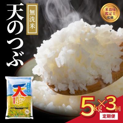 ふるさと納税 田村市 【毎月定期便】無洗米 田村産 天のつぶ 5kg 米 精米全3回