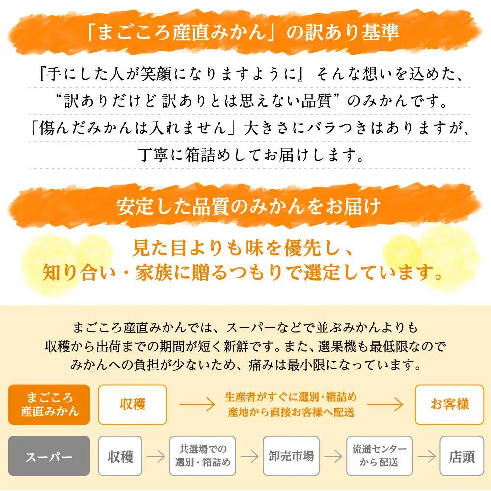 訳あり 早生みかん 6.5kg みかん