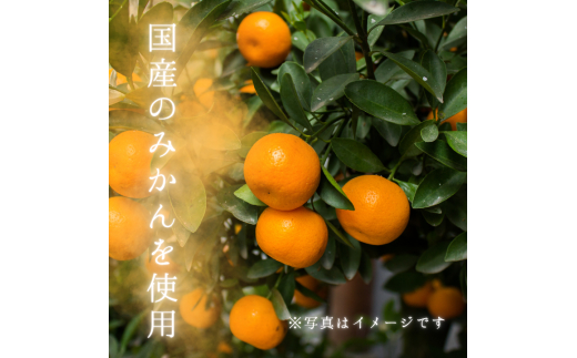 メルカドレグメス　ドライフルーツ　みかん ／ ドライフルーツ フルーツ 果物 くだもの みかん ミカン 蜜柑 自家製 3000円