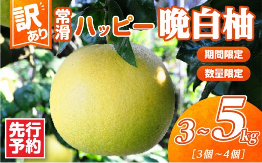 【先行予約】【訳あり】常滑ハッピー晩白柚 3～5kg（3個～4個）｜果物 フルーツ 柑橘 ばんぺいゆ バンペイユ 大きい みかん 訳あり ご家庭用 数量限定 愛知県 常滑市 知多半島