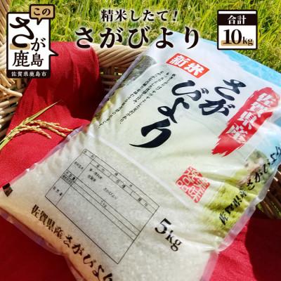 ふるさと納税 鹿島市 【精米したて!】令和7年産 さがびより 10kg(5kg×2袋)