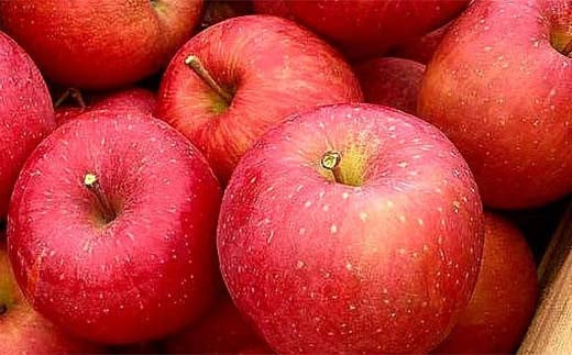 ＜訳あり家庭用りんご＞福島県のリンゴ　サンふじ約10kg(32