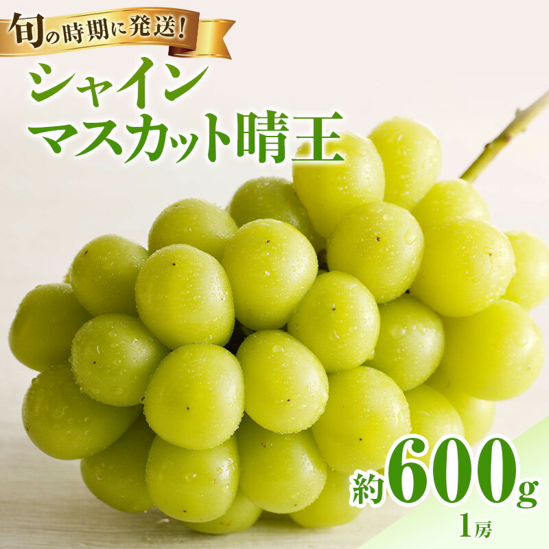 【ふるさと納税】【2026年先行受付】 シャインマスカット 晴王 秀品 約600g 1房 岡山県産 ぶどう 葡萄 ブドウ 御中元 ギフト 御礼 プレゼント 御礼 御祝 御供 果物 くだもの フルーツ　お届け：2026年8月中旬〜2026年10月