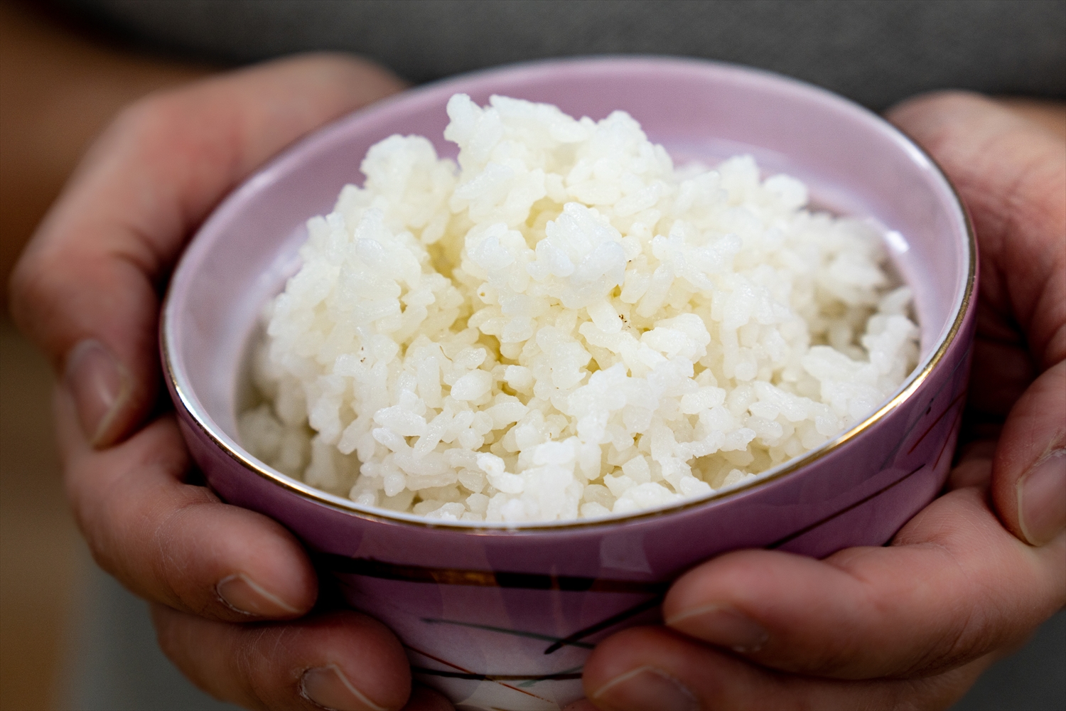 【定期便】きよしま米【精米】５kg×12か月[826] コシヒカリ