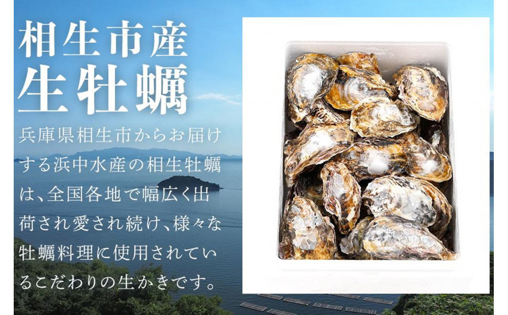 ★先行予約★《訳あり・不揃い》殻付き生牡蠣　1.5kg 【漁師直送!】冷蔵配送