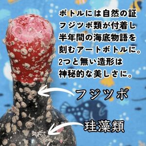 【海底に半年沈めて熟成したウイスキー】スコッチ ブレンデッド CLAYMORE 700ml #8【1719231】