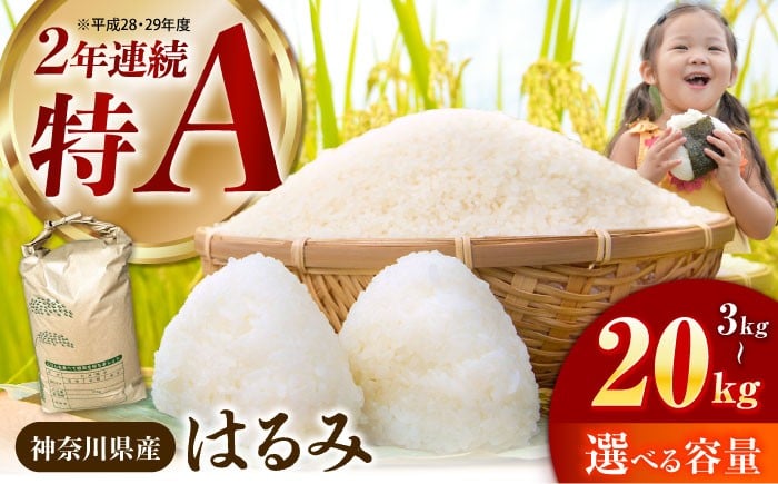 
                  【選べる容量】令和7年度 はるみ 精米 3kg 5kg 10kg 20kg【井上農園】 神奈川県産 コシヒカリ キヌヒカリを併せ持つ 米 おこめ お米 白米 こめ ライス rice kome ごはん ご飯 コメ ブランド米 お米 白米 国産 贈答 ギフト おにぎり 弁当 R7年産 おいしい 旨い ふっくら お米 【特Aランク受賞実績あり！】 [BDBB001]
                
