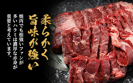 ※12月寄附限定 タン先炭火焼付※【 厚切り 】牛 ハラミステーキ【500g】 焼肉 ハラミ 焼き肉 はらみ 塩味 牛肉 肉 冷凍 小分け パック キャンプ バーベキュー 067-0678