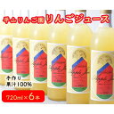 【ふるさと納税】 平山りんご園のりんごジュース 手作り リンゴ 果汁100% 果物 送料無料