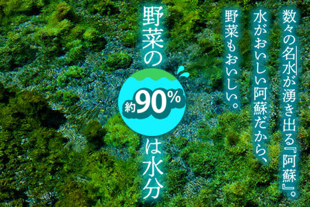 【定期便 全6回】畑から直送  季節のお野菜セット Mサイズ 
