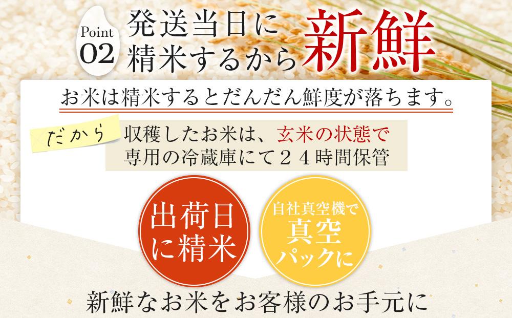 令和6年産 新米ひのひかり100%(自社保有田米) 10kg(小分け真空パック1000g×10) 福岡県 大川市