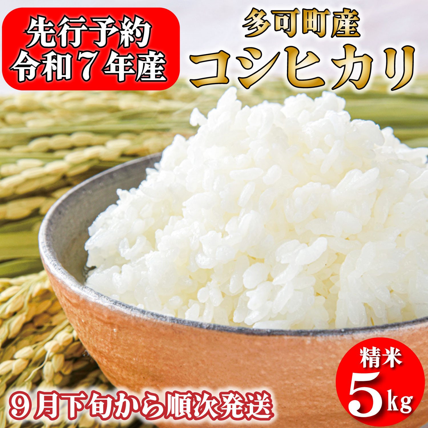 
            【先行受付】数量限定！令和７年産 お米 5kg コシヒカリ 精米 兵庫県多可町産 [1198]
          