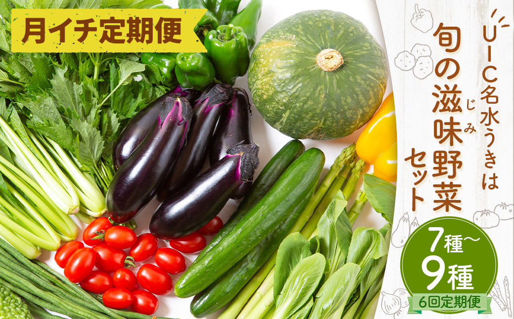 【月イチ定期便】UIC 名水うきはの無農薬減農薬お野菜セット (ひと月1箱×半年間=計6回)