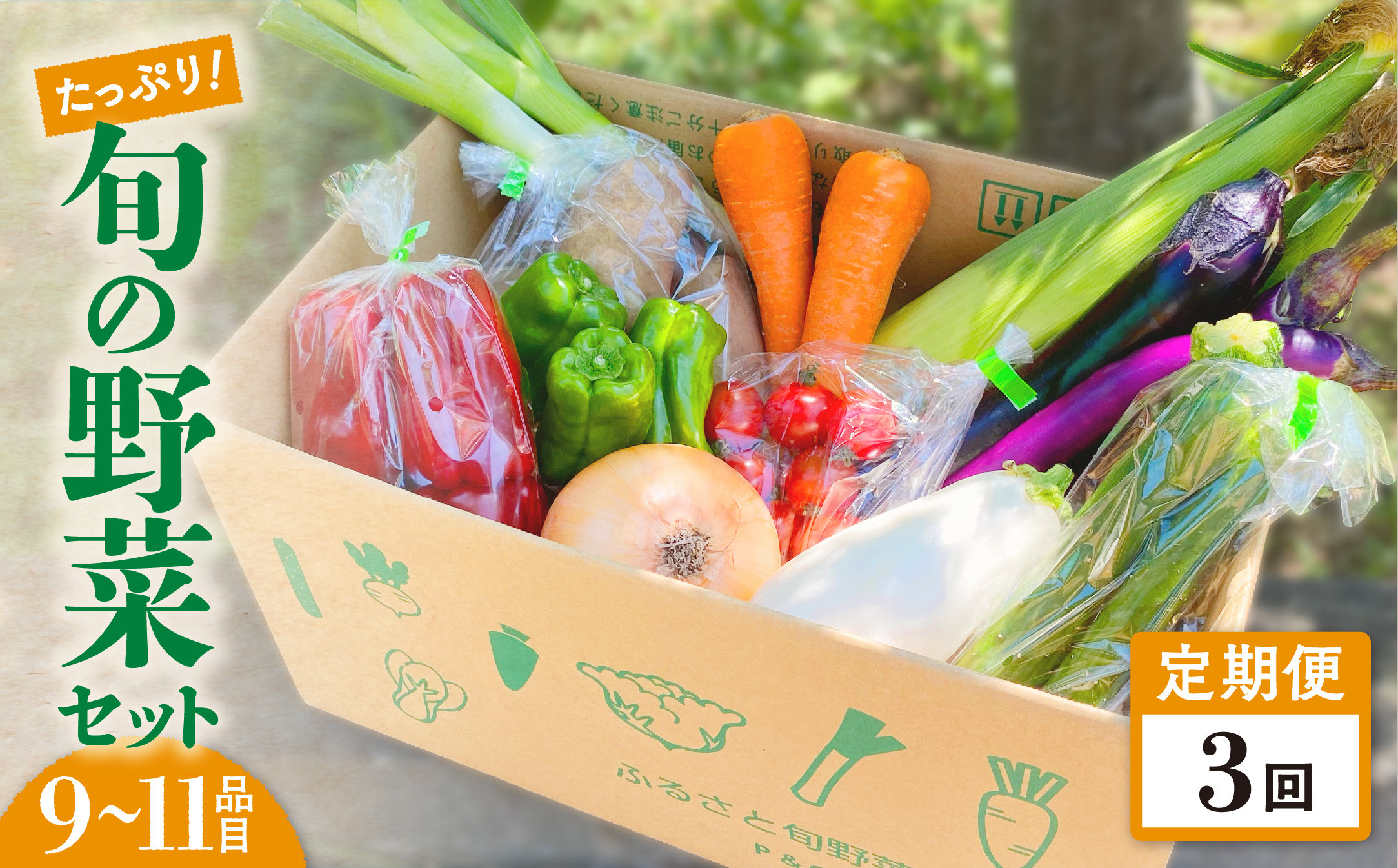 
【定期便／3ヶ月】たっぷり旬の野菜セット 9～11品目 季節 旬 春野菜 夏野菜 秋野菜 金ケ崎町 旬 新鮮 野菜 セット 詰め合わせ おまかせ
