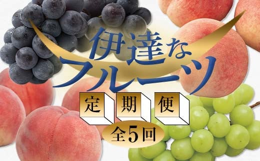 
            ＜2025年夏から開始の定期便＞伊達なフルーツ定期便（もも3種×5kg・ぶどう2種）果物 フルーツ 桃 モモ 葡萄 ブドウ 福島県 伊達市 F20C-476
          