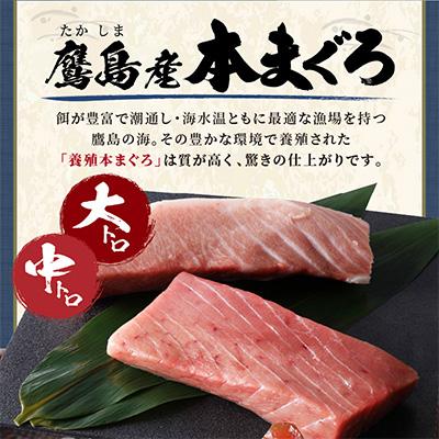 ふるさと納税 松浦市 長崎県松浦市鷹島産本まぐろ　大中合わせて400g　 |  | 01