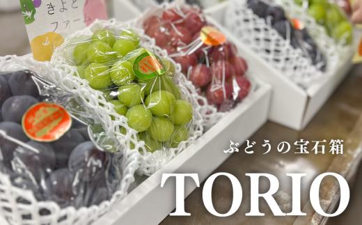 KF-B030-02【きよとうファーム】葡萄の宝石箱TORIO-トリオ-（シャインマスカット入り3品種詰め合わせ）/計1.8kg~ (岡山県産)