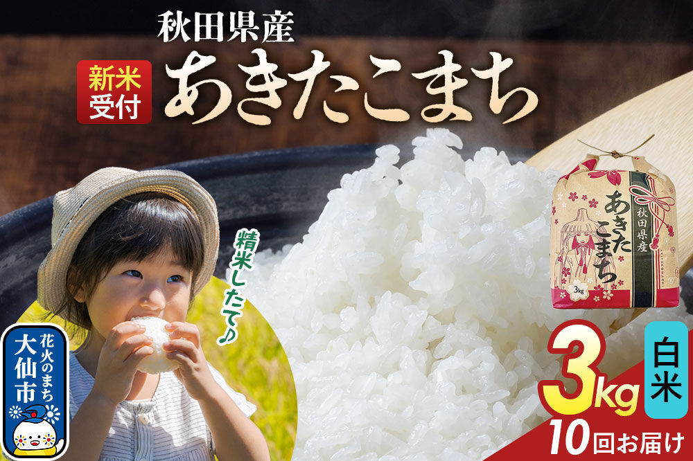 《令和8年産新米予約》 《定期便10ヶ月》あきたこまち【白米】3kg 秋田県産 こまちライン 秋田県 大仙市産 [こまちライン あきたこまち ブランド米 お米 白米 精米 米どころ 秋田 秋田県産]
