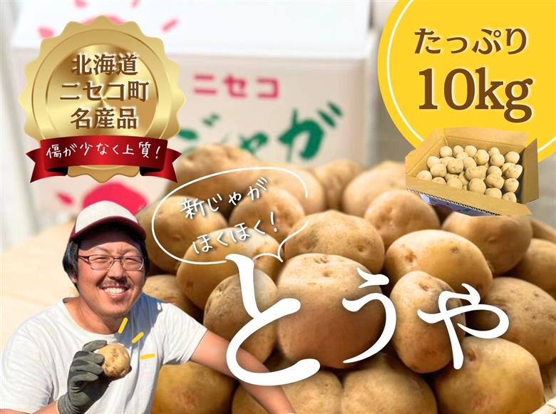 《2026年分受付中》なめらかな舌触りに感動!北海道ニセコ名産「とうや」新じゃが10kg/高橋農園【3700601】