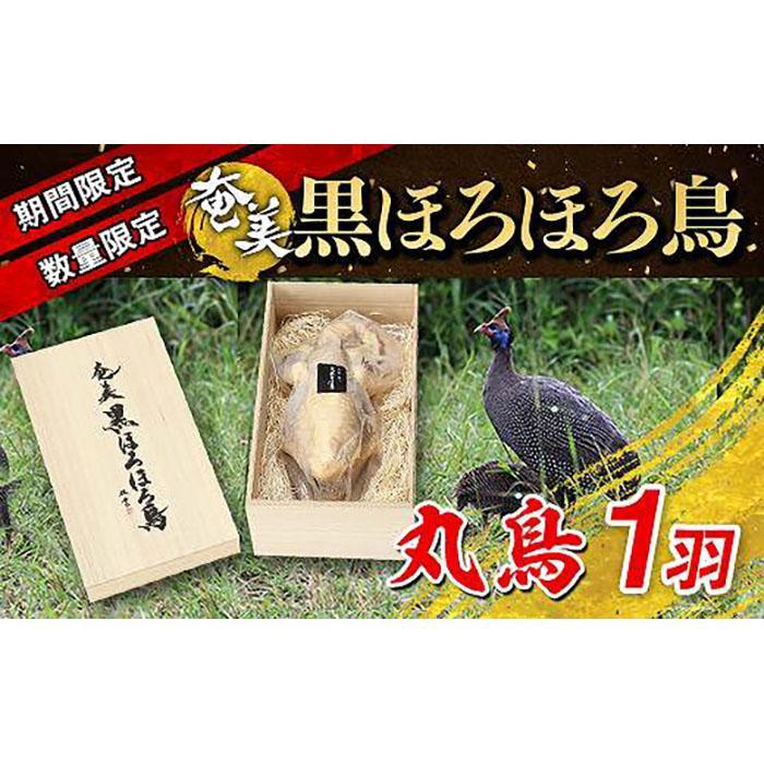【ふるさと納税】★期間限定・数量限定★奄美 黒ほろほろ鳥 （丸鳥中抜き）