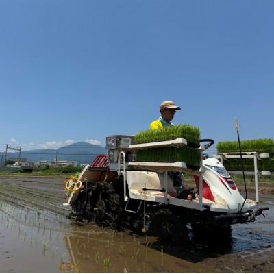 ふるさと納税 伊勢原市 【先行受付】新米[令和7年産]伊勢原産 精米 5kg はるみ 農家直送!加藤さんちのうんめぇ米 |  | 03