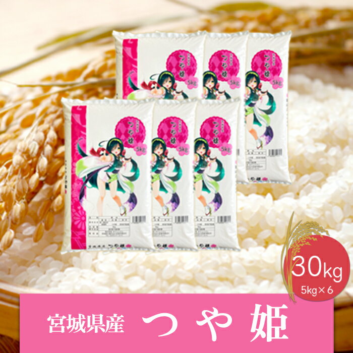【ふるさと納税】《精米》令和6年産 宮城県産つや姫30kg