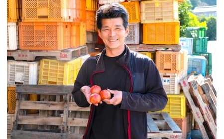 【2026年1月中旬発送開始】 亀ちゃんトマト味特 約3kg