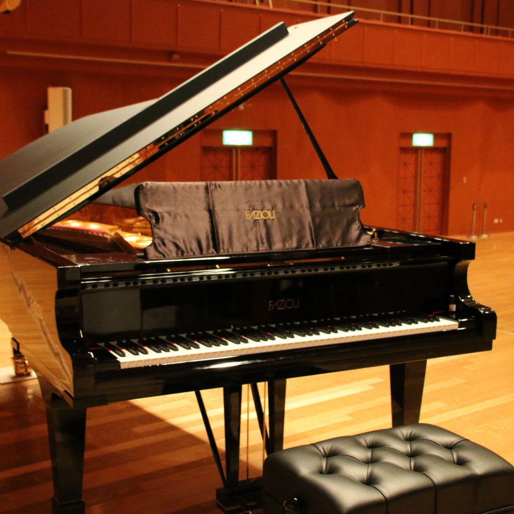 【ふるさと納税】グランドピアノ「FAZIOLI（ファツィオリ）」 平日3時間弾き放題 1回分 ピアノ演奏 体験 チケット ファツィオリピアノ 貸切ホール 中札内文化創造センター 音楽 楽器 演奏 施設利用券 北海道 中札内村 送料無料 [046-0258]