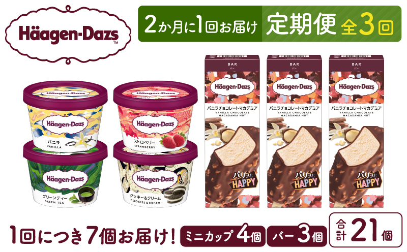 ＜全3回定期便・隔月＞ハーゲンダッツ『ミニカップ＆バーセット(合計21個)』アイスクリーム アイス スイーツ デザート_H0016-175