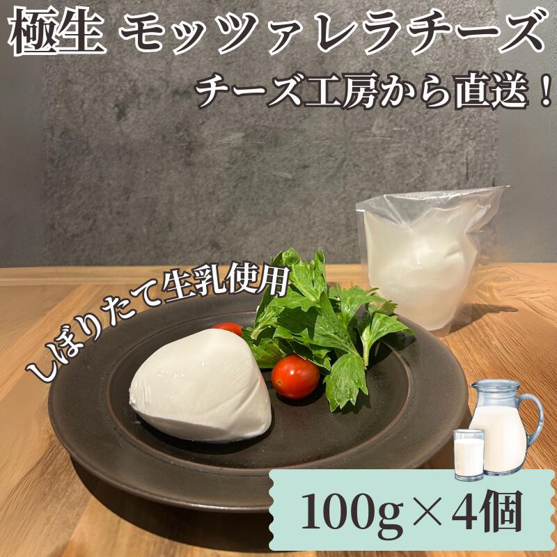 【ふるさと納税】 チーズ モッツァレラ チーズ 4個 極生 モッツァレラチーズ ちーず ナチュラルチーズ cheese フレッシュチーズ ミルク 新鮮 出来立て 直送 ビール おつまみ おやつ ピザ パスタ 人気 お取り寄せ Aprotodo’S株式会社 RRAAP BREWERY 神奈川 湘南 藤沢
