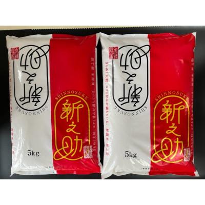 ふるさと納税 柏崎市 【令和7年産】特別栽培米　新潟県柏崎産「新之助」5kg×2袋【五ツ星お米マイスター厳選】白米