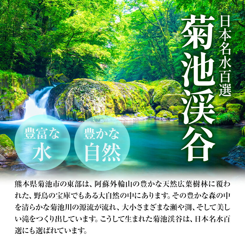 【12ヶ月定期便】 九州産若鶏ムネ肉 600g×7袋 計12.6kg（4.2kg×3回）鶏肉 お肉 ムネ肉 むね肉 小分け 冷凍 九州産 国産 熊本県 菊池市 送料無料《お申し込みの翌月から出荷》