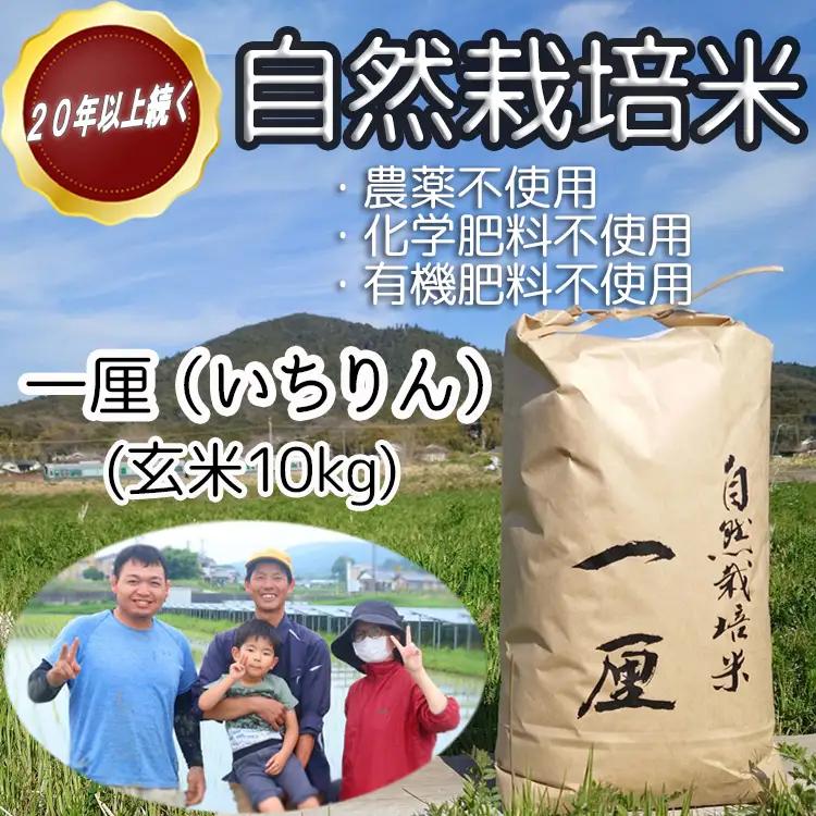 DB-7.【幸せへの想いを込めた 自然栽培米】一厘（いちりん）　玄米　10kg