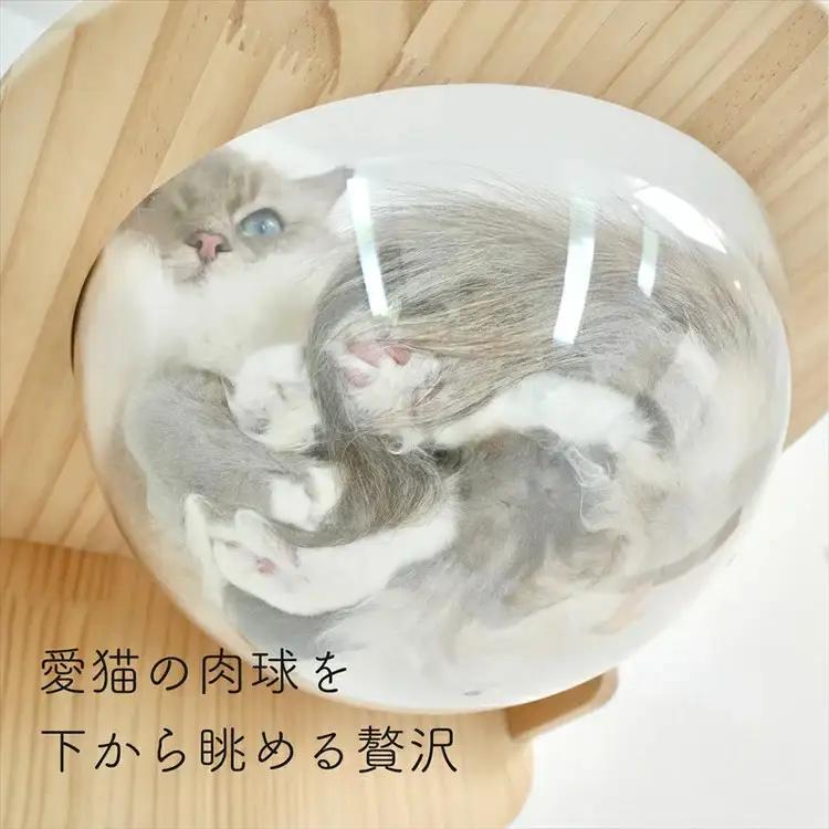 壁掛け 猫ボウル NEKOIRI ： 猫ハウス 壁掛け ペット用品