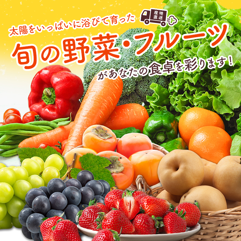 産地直送！旬の野菜・フルーツ＆野菜加工品 セット 全6回 隔月定期便 2か月に1回お届け おまかせ 詰合せ 宮崎県新富町産【F138】	_イメージ2
