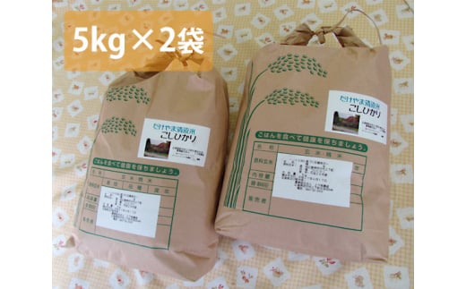 No.303 府中市の岳山清流米コシヒカリ　10kg ／ お米 精米 こしひかり 広島県 特産品