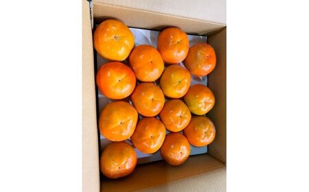 和歌山秋の味覚　富有柿　約７．５ｋｇ「2026年11月上旬頃～2026年12月上旬頃に順次発送予定」【UT48】【uot702A】