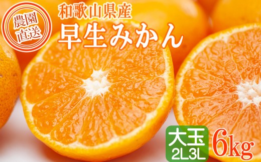 
                  早生みかん 約6kg 大玉 2L・3Lサイズおまかせ 《ご家庭用》 ちょっと訳あり 和歌山県産 農園直送 まごころ産直みかん 【北海道・沖縄県・一部離島 配送不可】大きい 蜜柑 温州みかん わけあり 訳アリ ［Mg60］
                