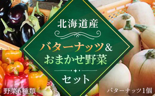 【2025年8月下旬より発送】バターナッツ1個とおいしい野菜おまかせセット（バターナッツ1個と野菜6種類） 【 ふるさと納税 人気 おすすめ ランキング 野菜 セット バターナッツ かぼちゃ 南瓜 北海道 厚沢部 送料無料 】 ASO010
