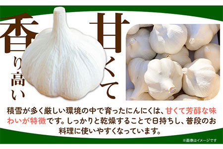 [1-81]【令和8年先行受付】にんにく（福地ホワイト六片種）1kg | にんにく ニンニク 乾燥にんにく 国産にんにく 北海道にんにく