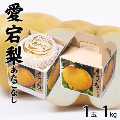 岡山県産　あたご梨  1玉  1kg【配送不可地域：離島・北海道・沖縄県】