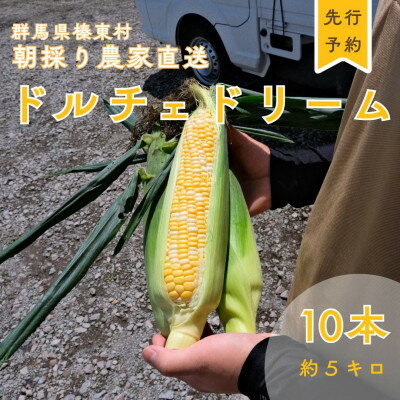 【ふるさと納税】トウモロコシ　ドルチェドリーム　10本【配送不可地域：離島】【1717449】