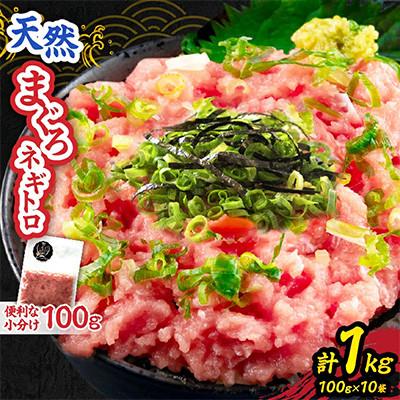 ふるさと納税 日南市 日南市油津港水揚げ 天然 まぐろ ネギトロ(計1kg)