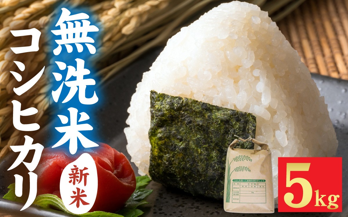 
                  【先行予約】【みやま米】令和8年産  福井市産コシヒカリ5kg/天然の山水だけで育てたお米【2026年10月下旬以降順次発送予定】[A-168009] / 新米 5キロ 5kg 米 無洗米 こめ コメ お米 こしひかり 福井県 無洗米 福井市 令和8年 8年産 八年 無洗米 むせんまい むせん米 無洗米 無洗米 色彩選別 
                